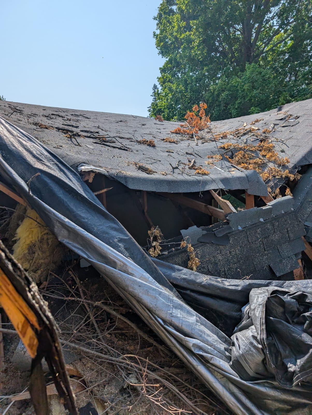 Storm damage photo 1