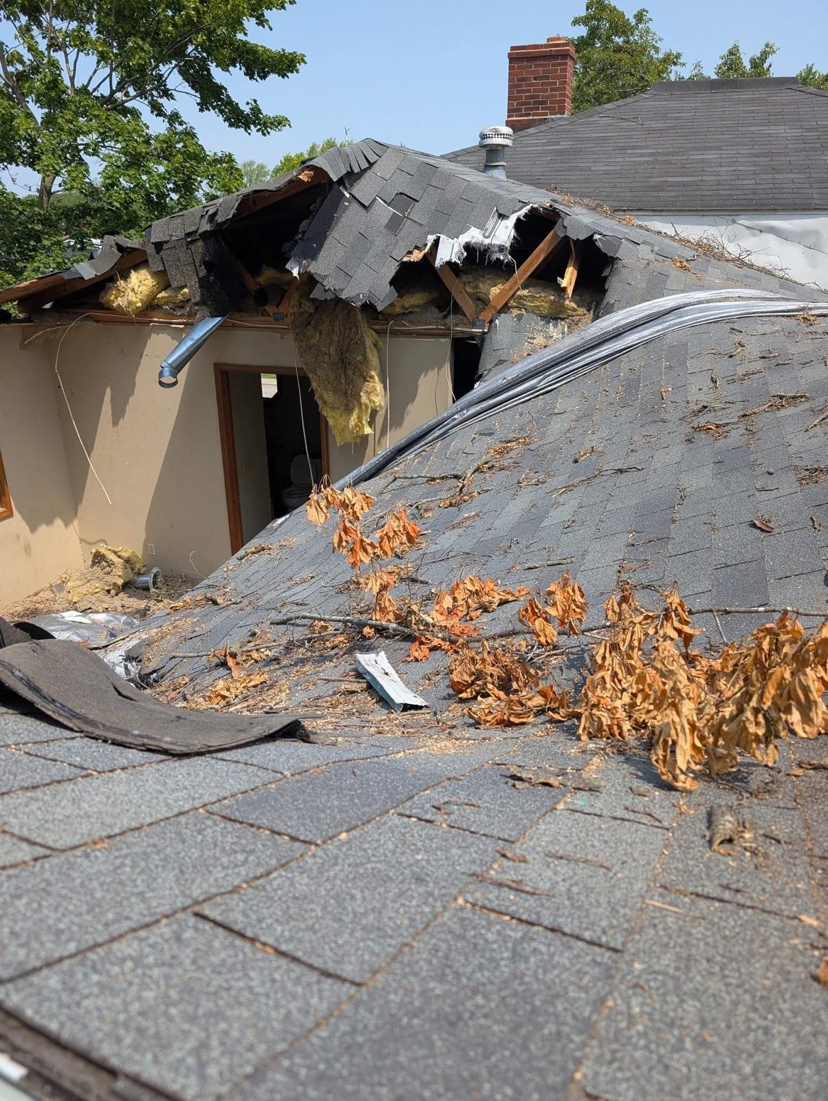Storm damage photo 8